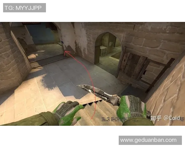 CSGO战术分析:深入探讨WE战队的防守策略与执行细节