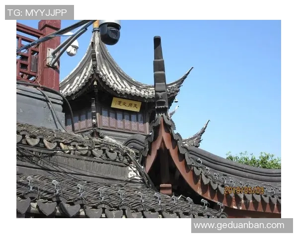南京羽毛球队与北京羽毛球队赛后战术分析与对比探讨