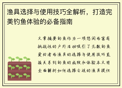 渔具选择与使用技巧全解析，打造完美钓鱼体验的必备指南